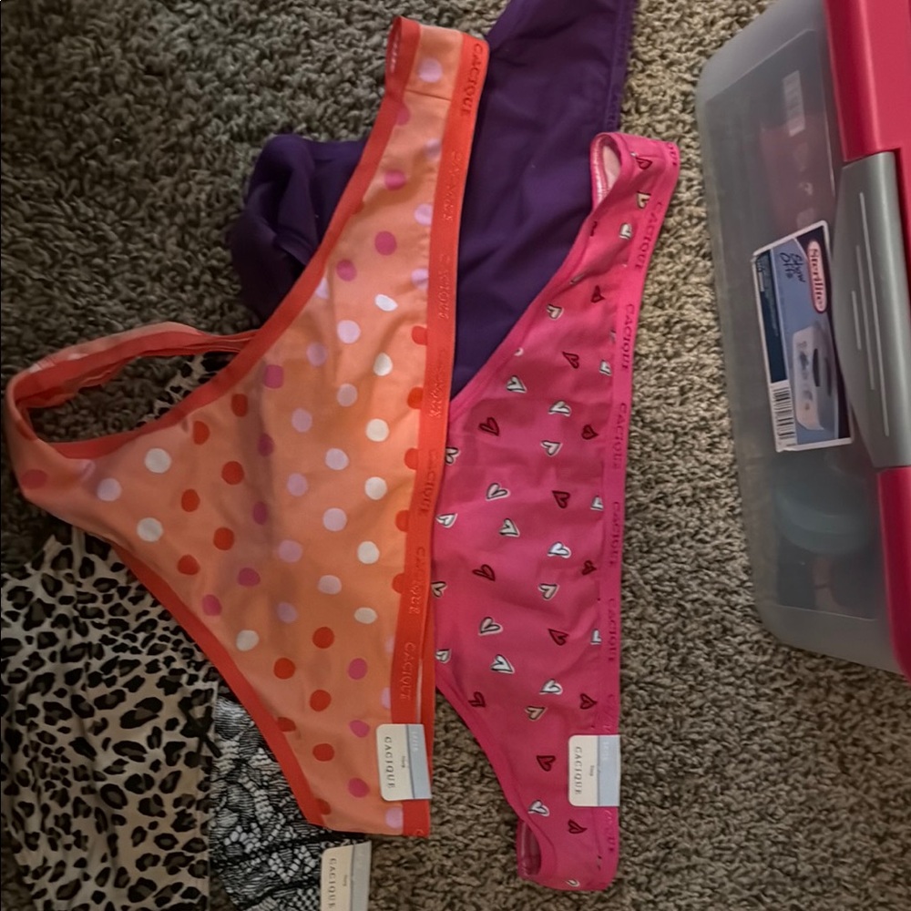 Lane Bryant Cacique Thong